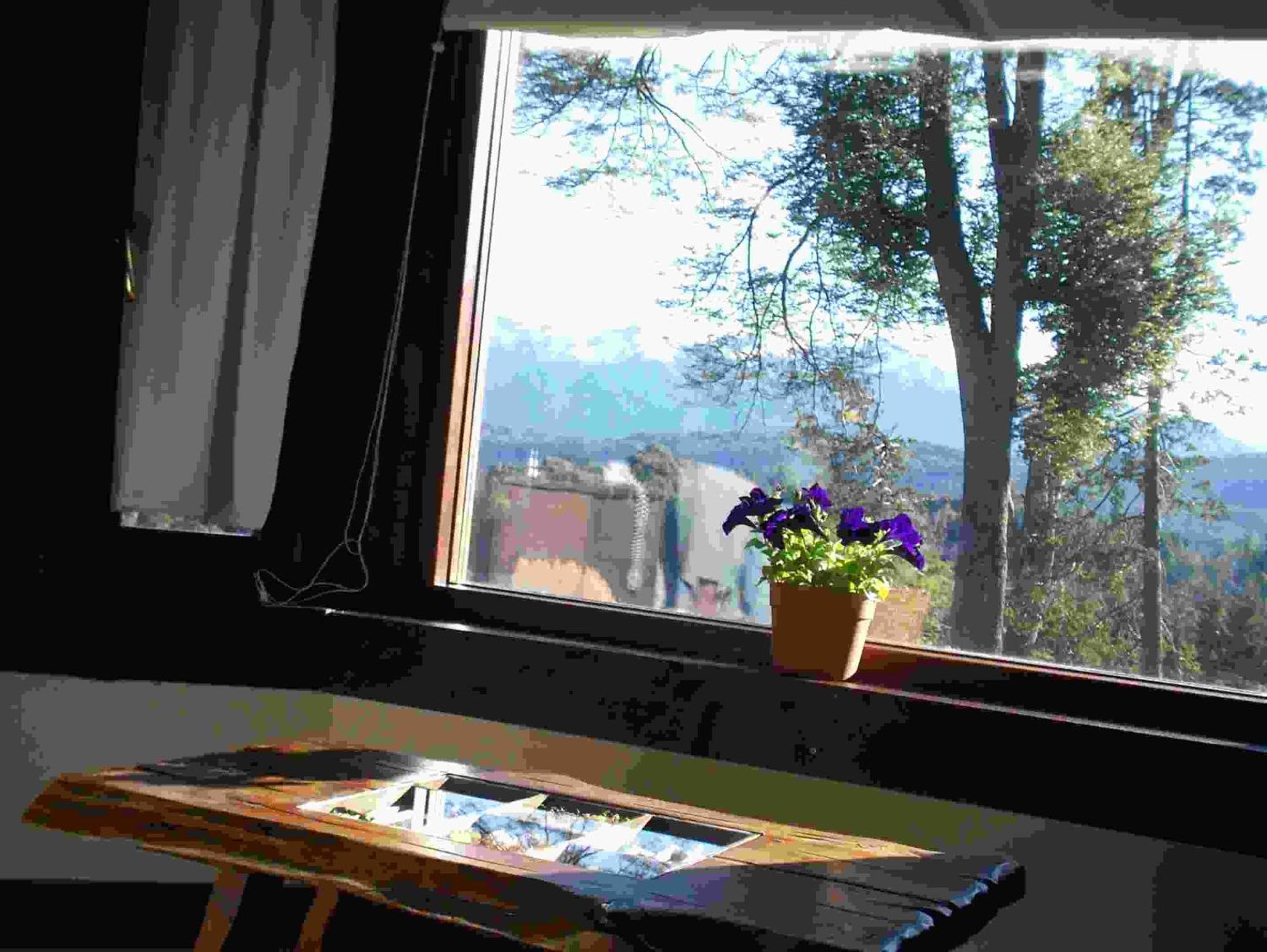 Hosteria Naranjo En Flor 维拉·拉·安古斯图拉 外观 照片